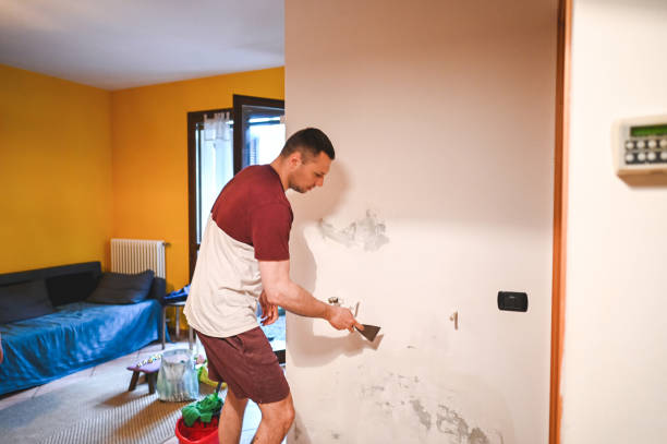 Best Home Mold Removal  in Sturgis, KY